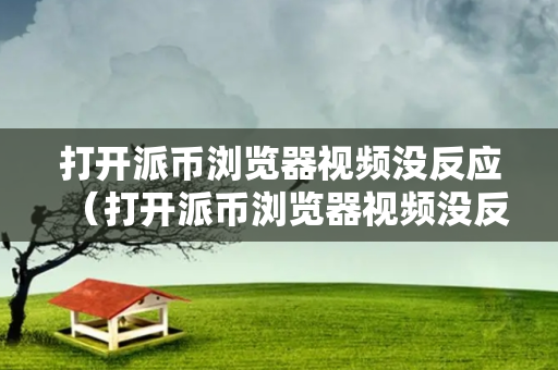 打开派币浏览器视频没反应（打开派币浏览器视频没反应怎么回事）